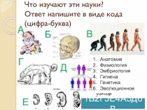 Презентация по биологии на тему Происхождение человека (9 класс)