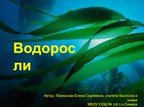 Презентация по биологии на тему Водоросли (5 класс)