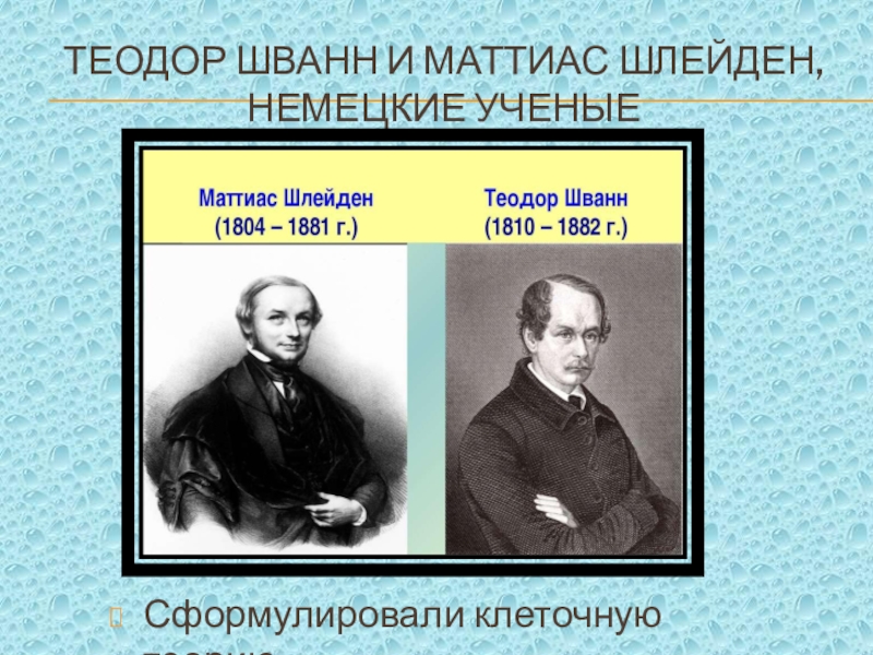 Клеточная теория шванна. Теодор Шванн и Шлейден. Ученые Шлейден и Шванн сформулировали. Матиас Шлейден клеточная теория. Теодор Шванн и Матиас Шлейден клеточная теория.