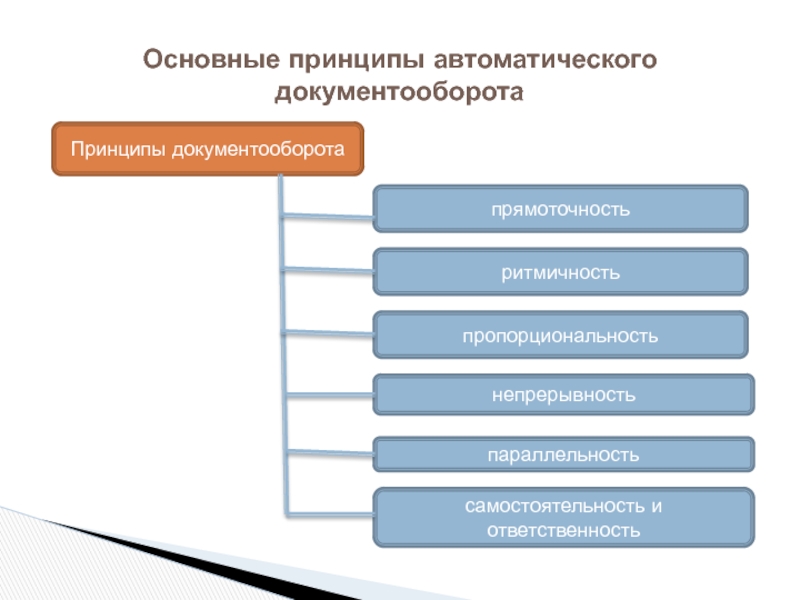 Положение о системе электронного документооборота в организации образец