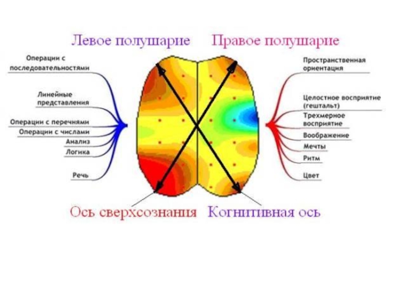 Презентация знание и сознание 10 класс профиль