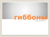 Презентация по биологии Гиббоны