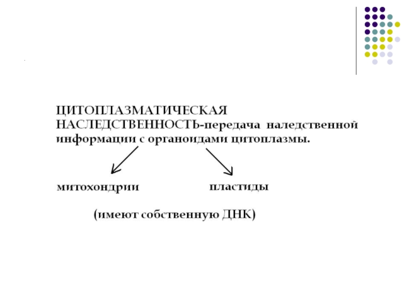 Внеядерная наследственность презентация 10 класс