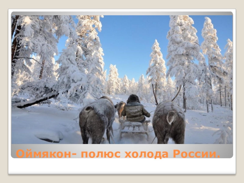 Оймякон- полюс холода России.