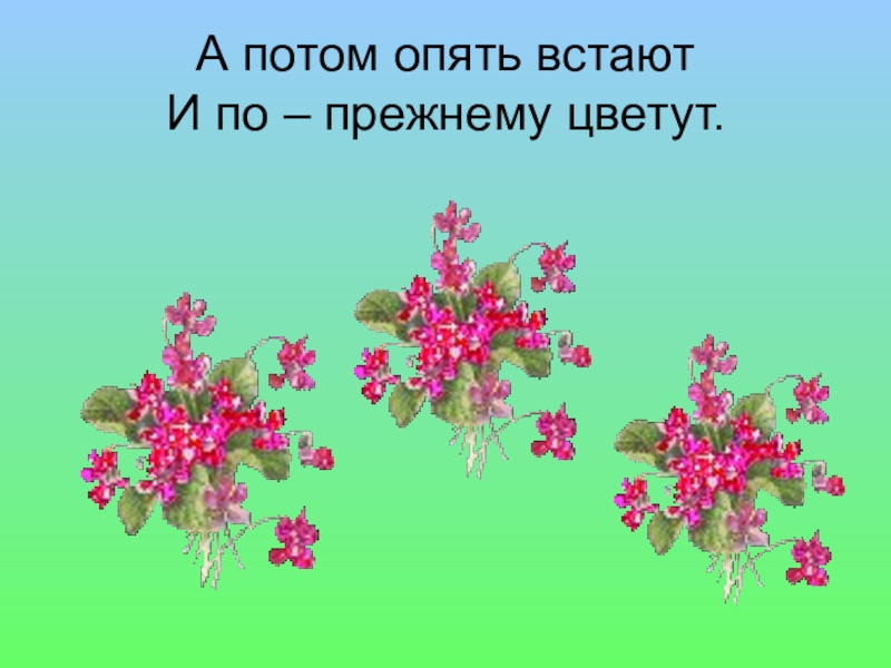 Распускаются цветы небывалой красоты падеж. Физминутка на лугу растут цветы небывалой красоты. Физминутка на лугу растут цветы. Физминутка цветок для дошкольников на лугу растут цветы. Цветочки выросли ход игры.