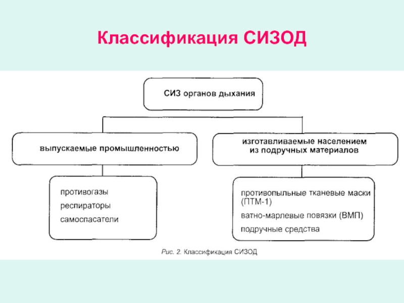 Схема классификации сизод