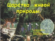 Закон живой природы. Сказка по законам живой природы. По законам живой природы иллюстрации. Сказка по законам живой природы 2 класса. Сказка по законам живой природы читать.