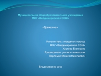 Информационный проект на тему Древесина