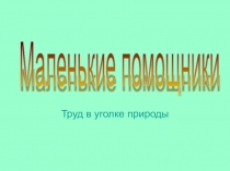 Презентация для педагогов на тему Труд в уголке природы. Маленькие помощники