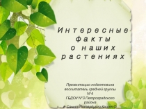 Наши растения