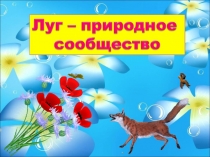 Презентация по окружающему миру на тему Луг - природное сообщество