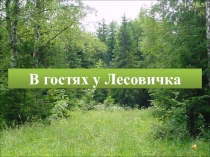 Презентация по окружающему миру В гости к Лесовичку