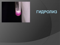 Полезные материалы и презентации к уроку: Гидролиз для учеников