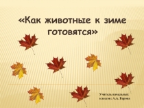 Презентация по окружающему миру ( 1 класс)