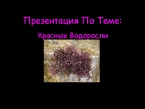 Презентация по биологии по теме: Красные водоросли