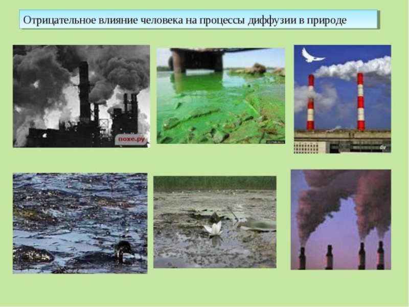 Отрицательное в природе. Отрицательное влияние человека на природу. Негативное влияние человека на природу. Отрицательное влияние диффузии. Отрицательное воздействие на природу.