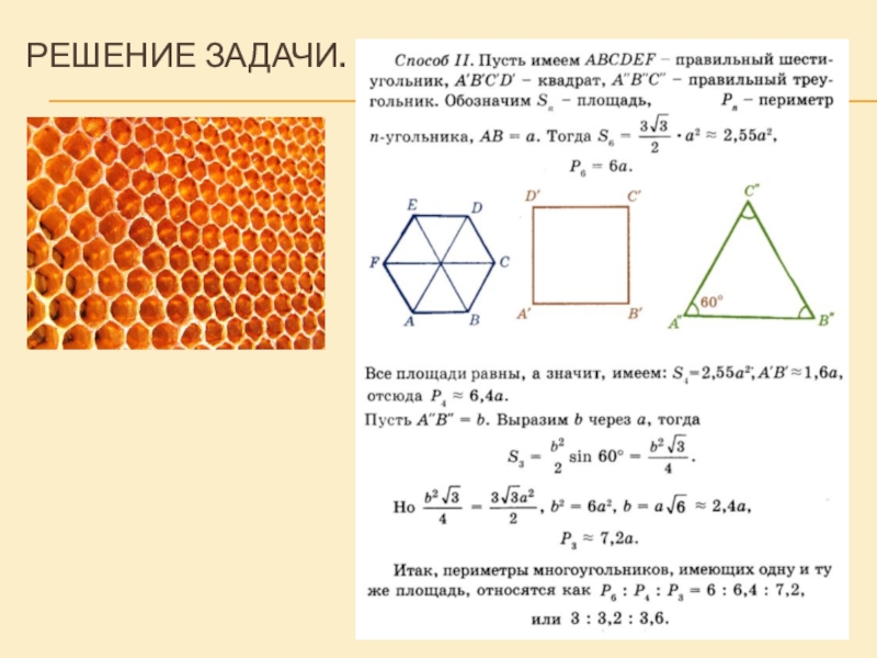 Чертеж соты с размерами