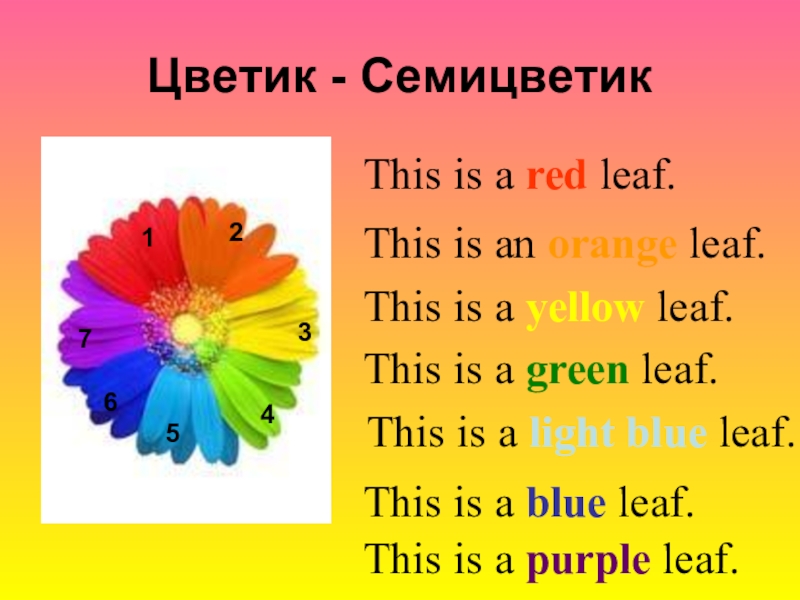 Цветик - Семицветик123456This is a red leaf.This is an orange leaf.This is a yellow leaf.This is a