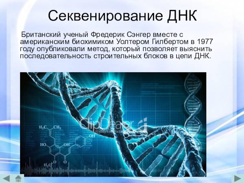 Секвенирование днк. Секвенирование биополимеров метод. Секвенирование метод в биологии. Полногеномное секвенирование ДНК. Секвенирование ДНК метод.