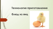 Презентация по технологии на тему Яйца. Блюда из яиц