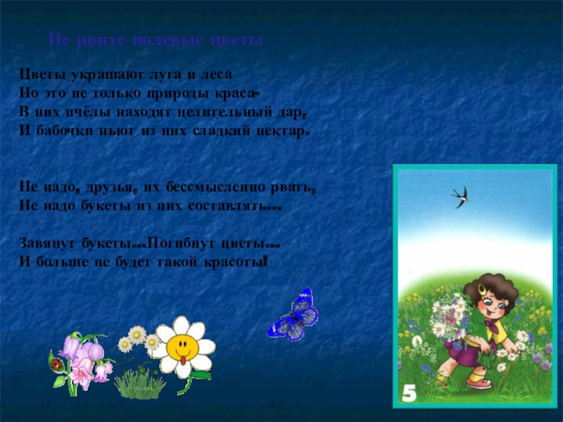 Песня не рви цветы. Они украшают Луга и леса и это не только природы. Они украшают Луга и леса и это не только природы Краса. Цветы украшают Луга и леса но это не только природы Краса. Правила безопасности на Луге.