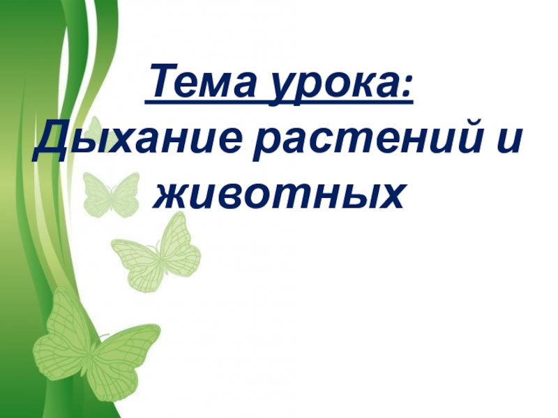 Урок дыхание животных. Дыхание растений и животных 6 класс. Дыхание растений и животных 6 класс биология. Дыхание растений 6 класс биология. Тема урока дыхание растений.