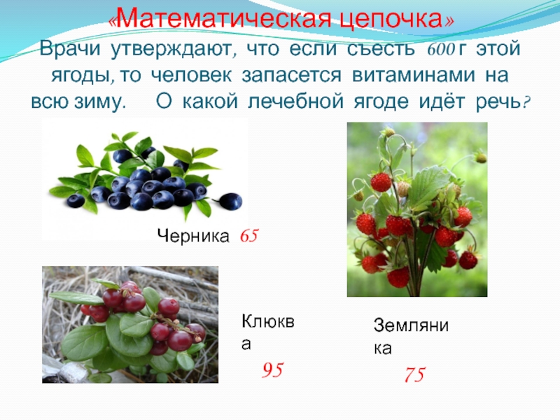 «Математическая цепочка» Врачи утверждают, что если съесть 600 г этой ягоды, то человек запасется витаминами