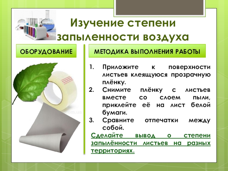 Исследование листьев. Изучение запыленности воздуха. Оценка запыленности воздуха. Определение запыленности воздуха. Степень запыленности.