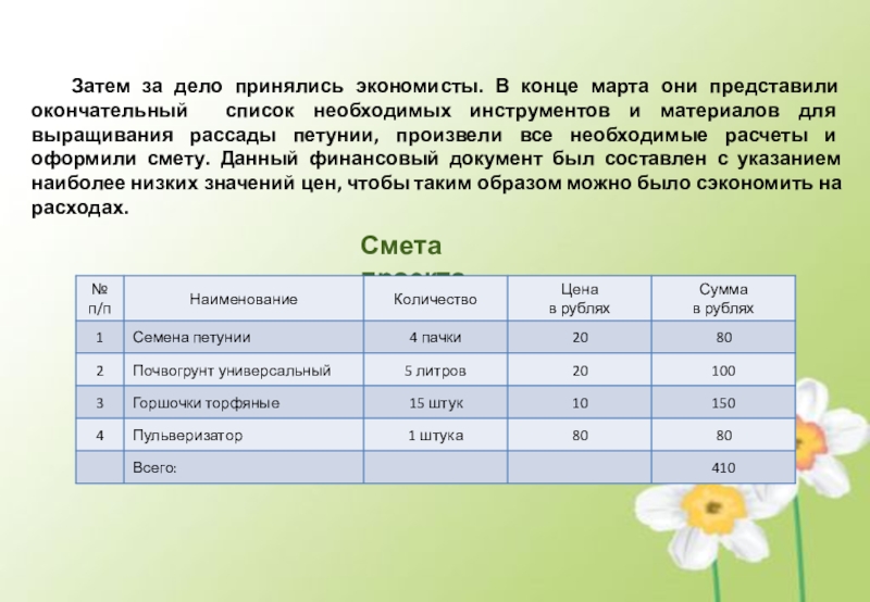 Проект выращивание рассады цветов для школьной клумбы