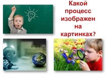 Презентация по обществознанию по теме Как человек познает мир и самого себя