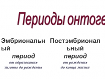 Презентация по биологии на тему Онтогенез