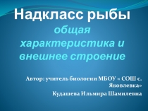 Презентация по биологии Надкласс Рыбы
