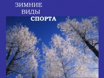 : Зимние виды спорта