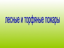 Презентация к уроку Лесные и торфяные пожары