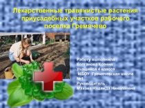 Лекарственные растения