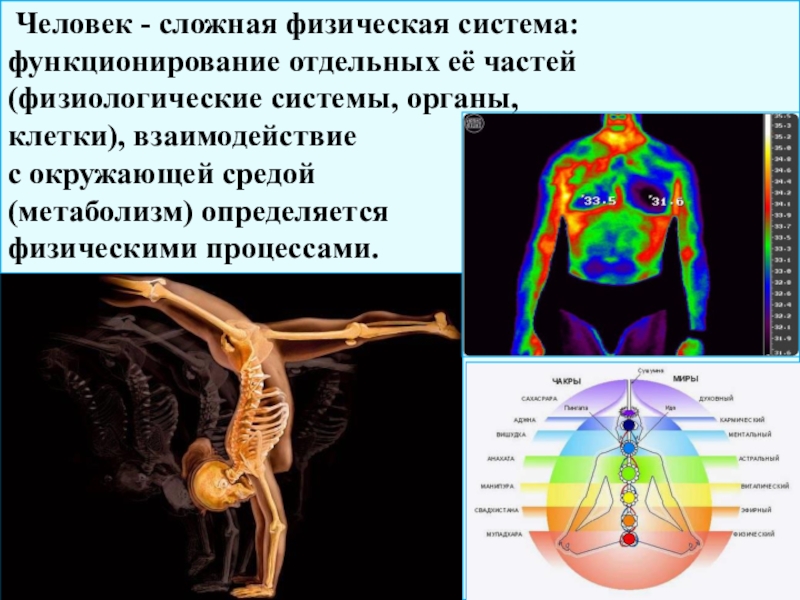  Человек - сложная физическая система: функционирование отдельных её частей (физиологические системы, органы, клетки), взаимодействие  с окружающей