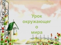 Презентация к уроку ОМ Лиственница