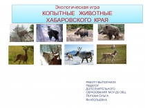 Презентация Копытные Хабаровского края