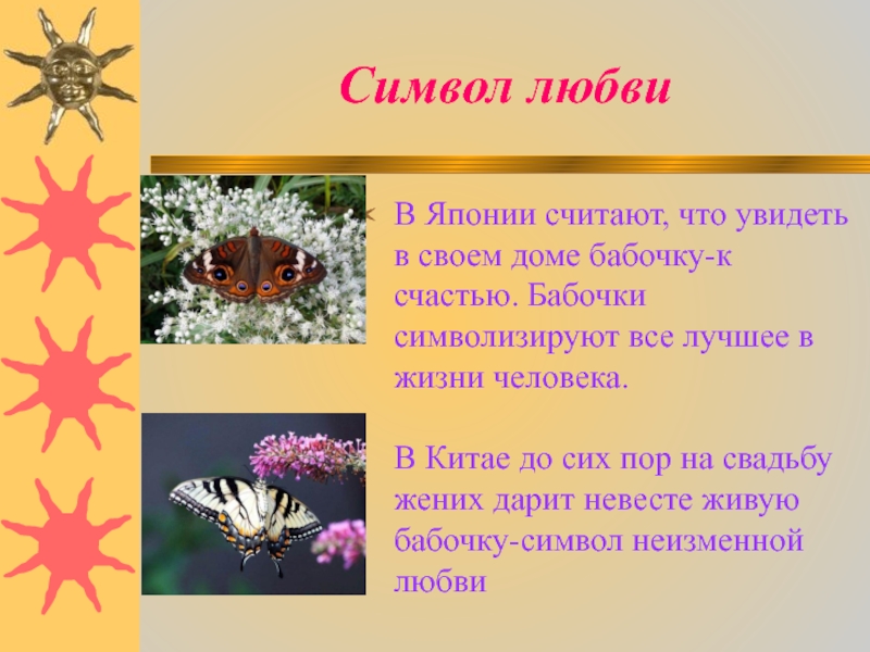 Что значит бабочка. Бабочка значение символа. Что символизирует бабочка. Символ бабочка что означает. Бабочка смысл символа.