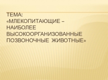 Презентация к уроку Млекопитающие