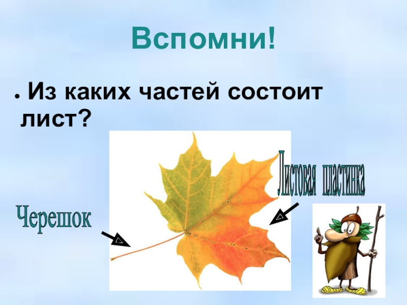 Из каких частей состоит класс. Из каких частей состоит лист. Из каких частей состоиттлист. Из каких частей состоит доклад. Из каких частей должен состоять лист целей?.