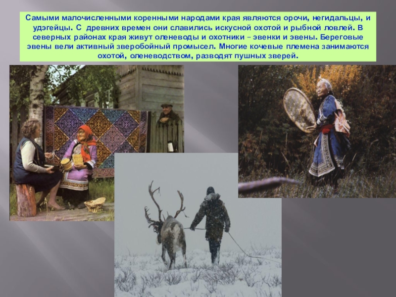 Самыми малочисленными коренными народами края являются орочи, негидальцы, и удэгейцы. С древних времен они славились искусной охотой