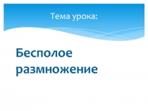 Презентация к уроку Бесполое размножение (9 класс)
