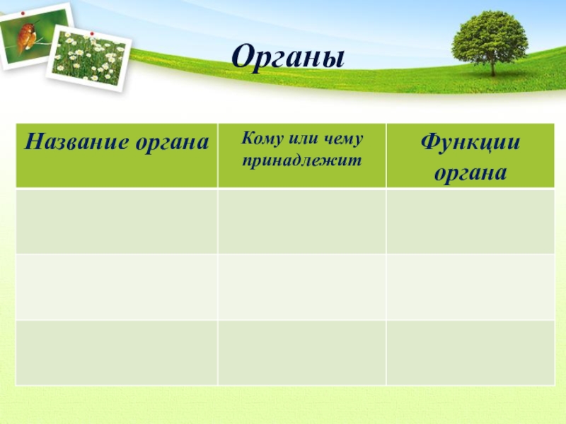 Технологическая карта урока по биологии 5 класс среды обитания организмов