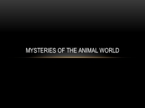 Misteries of the animals world