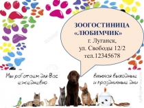 Бизнес план Зоогостиница Любимчик