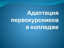 Адаптация первокурсников в колледже
