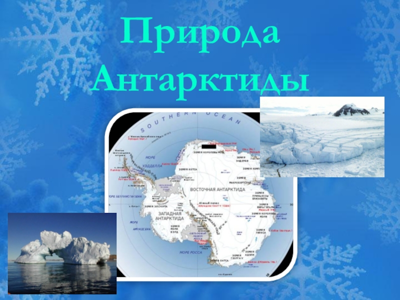 Презентация Презентация по географии на тему Природа Антарктиды ( 7 класс)
