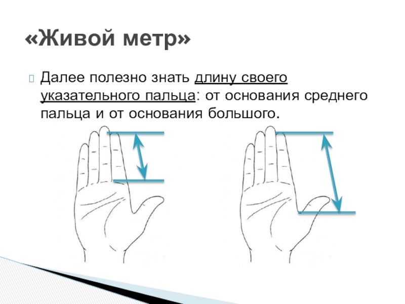 Проект средний палец читать