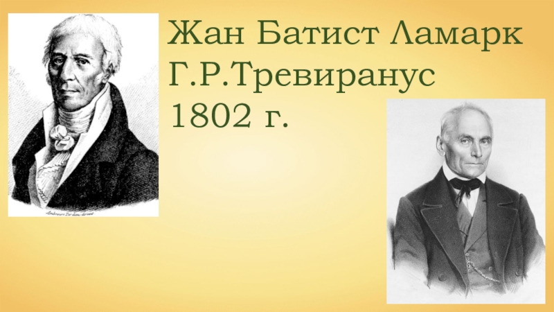 Тревиранус. Готфрид Тревиранус. Лудольф Кристиан Тревиранус. Готфридом Рейнхольдом Тревиранусом. Ж Б Ламарк.